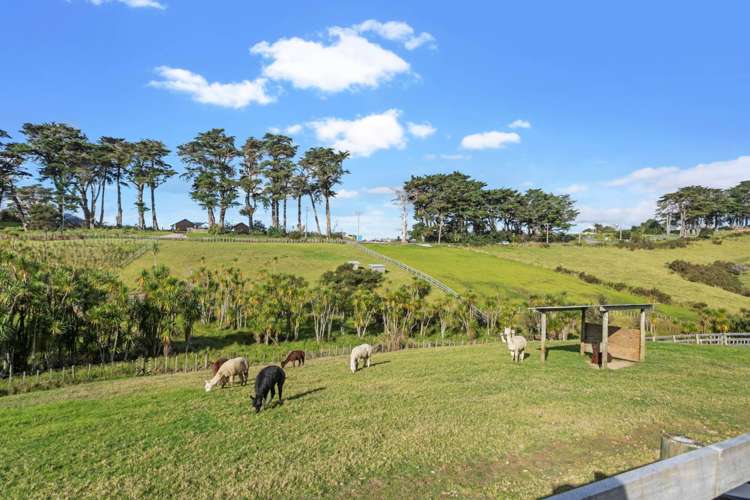 232 Amreins Road Taupaki Rodney Houses for Sale One Roof