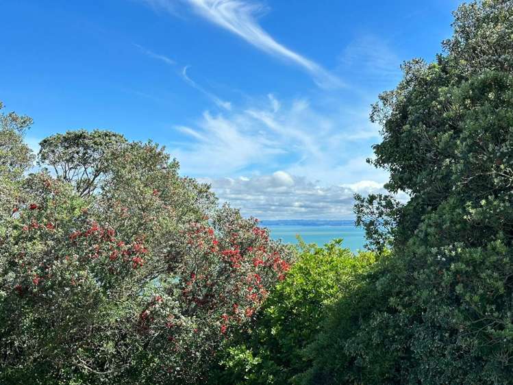 354 Hillsborough Road Hillsborough_7