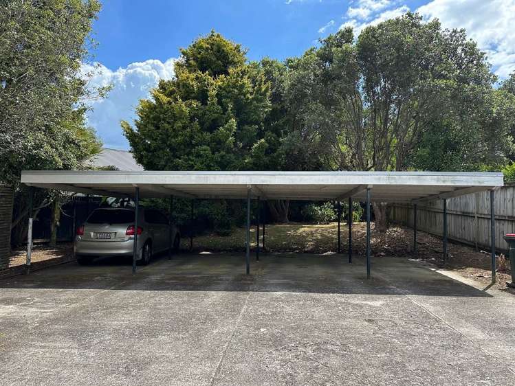 2/8 Shirley Road Grey Lynn_10