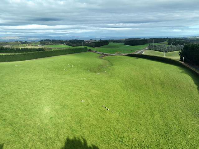 Hillend Road Balclutha_3