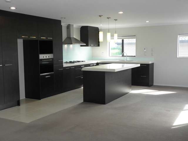 12a Nash Road Mount Roskill_2