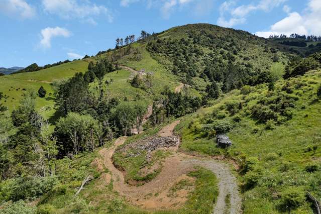 75 Parakiore Road Ngararatunua_4