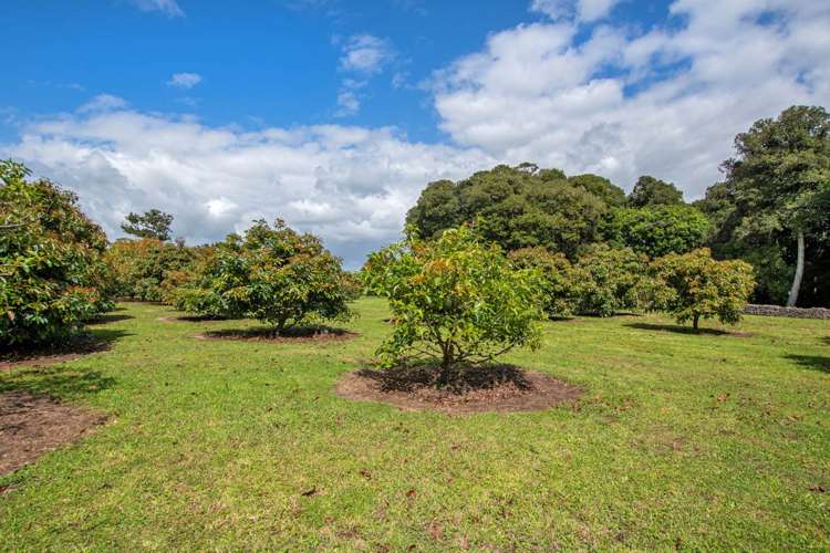 115A&B Kara Road Maungatapere_9