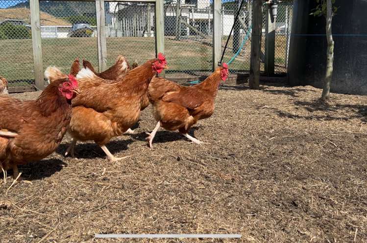 27 Raukawa Road Peka Peka_4