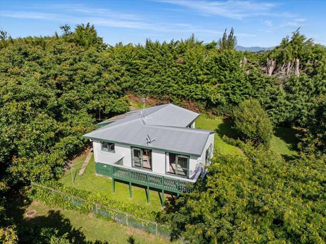 138 Te Puna Road Te Puna_1