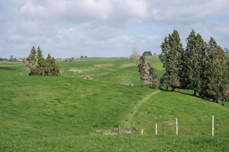 753 Pongakawa Bush Road Pongakawa_7