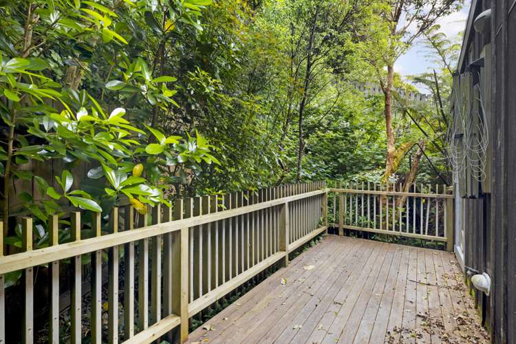 8b Orleans Street Ngaio_7