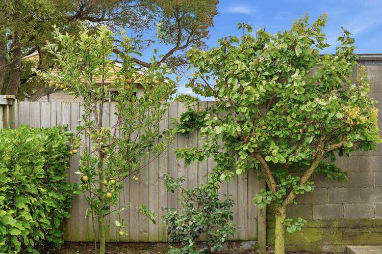 7 Ettrick Lane Richmond_20