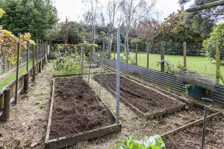 7 Aileen Place Whangamata_7