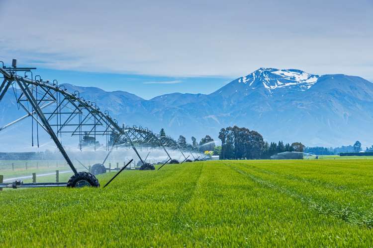 337 Reynolds Road Methven_1