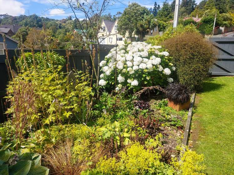 42 Fulton Road Glenleith_28