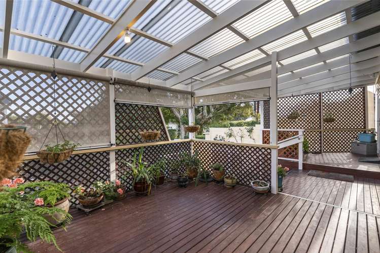 5 Douglas Avenue Mount Albert_13