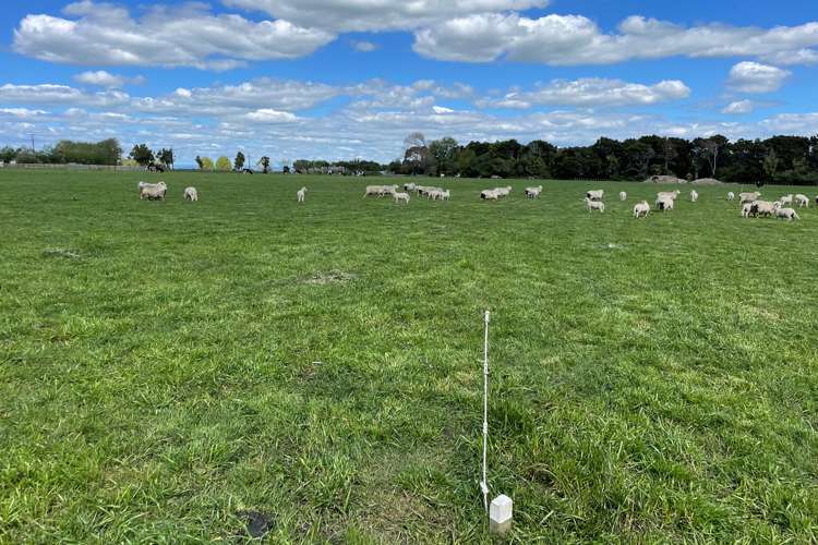 Mount Stewart Halcombe Road Sanson_6