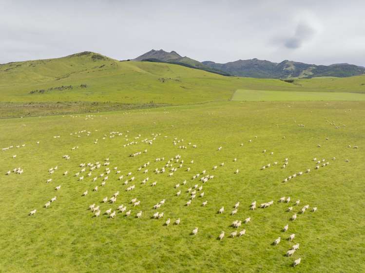 304 Acton Downs Road Acton_25