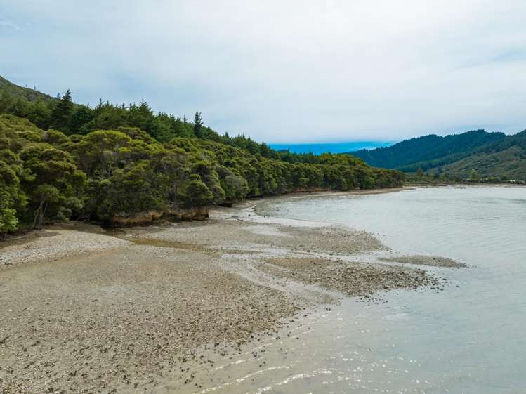 Kenepuru Head Marlborough Sounds_9
