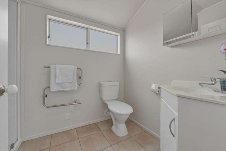 239 Campbell Road Greenlane_22