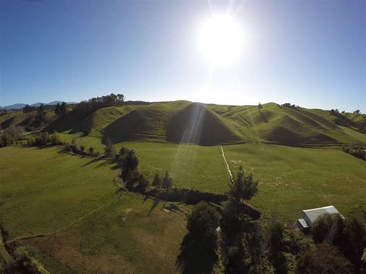 234 Rosedale Road Upper Moutere_19