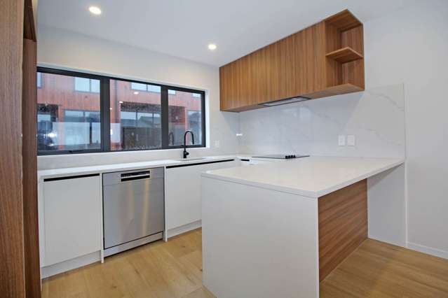 1/1026 New North Road Mt Albert_4