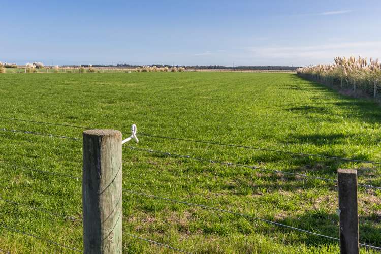 1926 Christchurch Akaroa Road Gebbies Valley_25