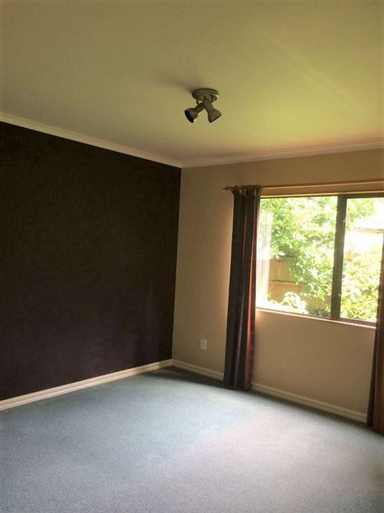 8a Byrd Street Levin_11