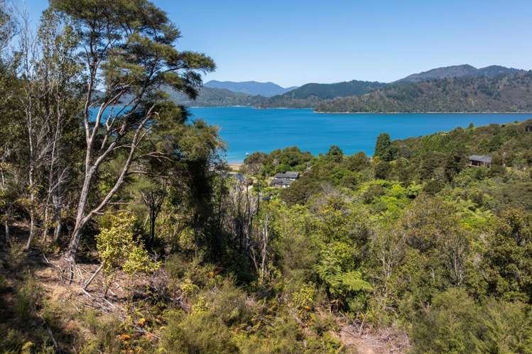 Double Bay, Reatihi Marlborough Sounds_10