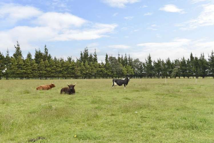 443 Ashley Road Cust_19