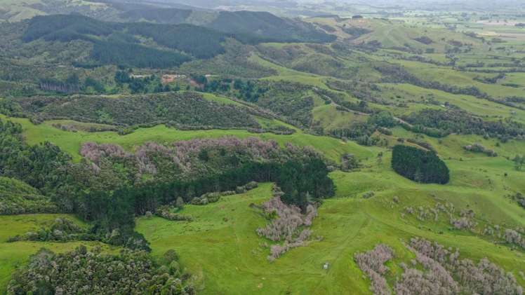 944 Waiti Road Tahuna_0