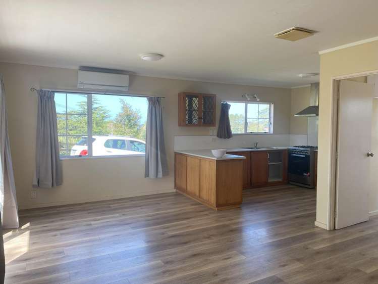 181A Foley Quarry Road Dairy Flat_3