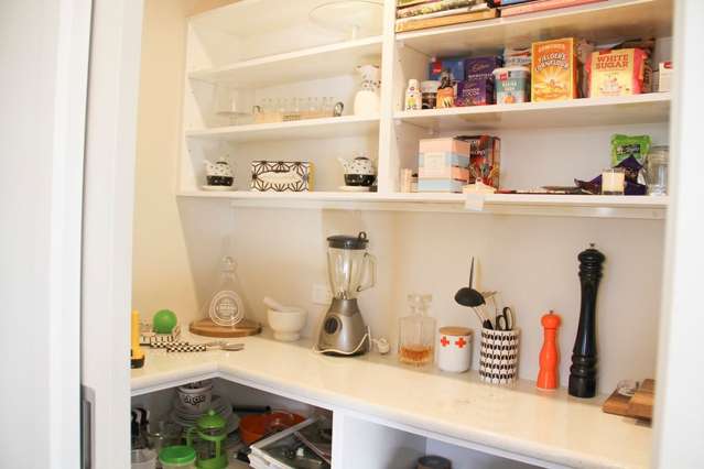 228e Roslyn Road Roslyn Bush_4