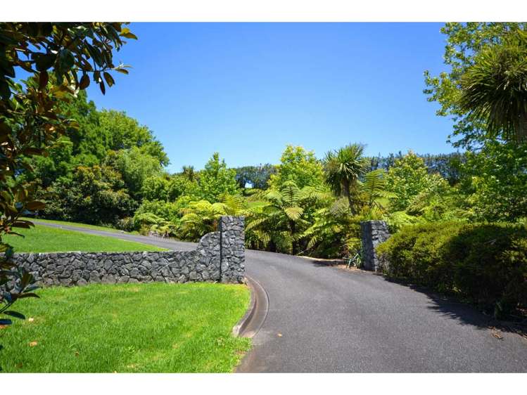 Blue Gum Lane Kerikeri_9