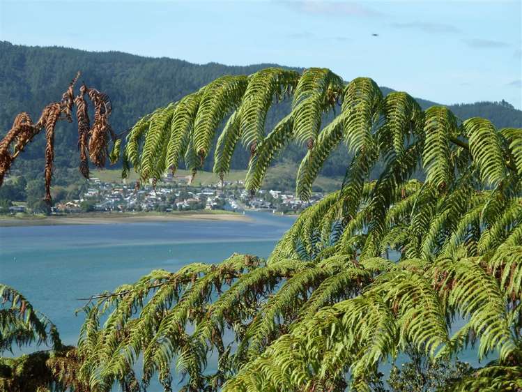 40 Tairua Heights Tairua_11