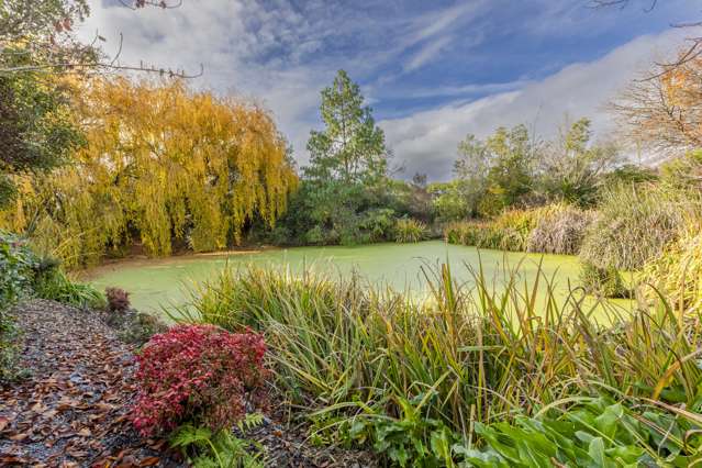 12 Ireland Road Waipawa_3