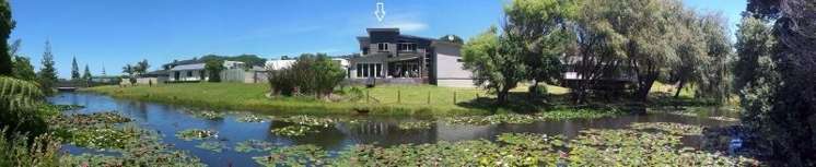 211 Onemana Drive Onemana_15