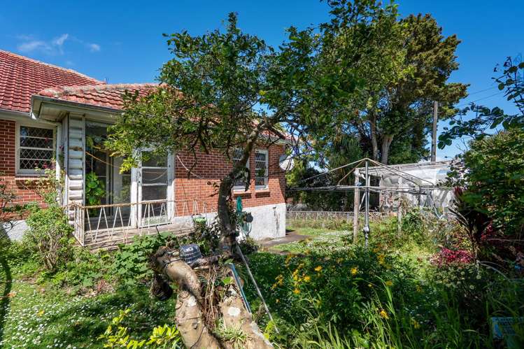 3B Frost Road Mount Roskill_1