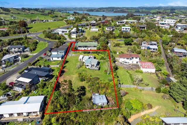 Rare earth find in Snells Beach - must view