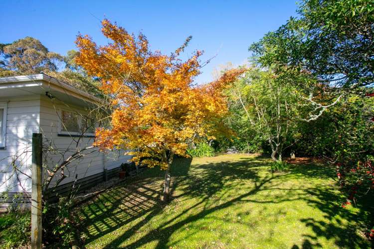 664 State Highway 2 Katikati_14