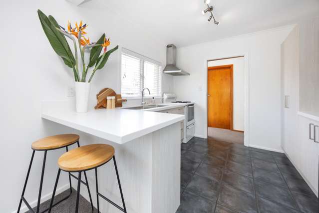 41 Riversdale Road Avondale_3