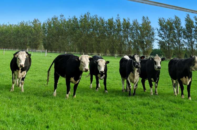 247 Collins Road Lincoln_37