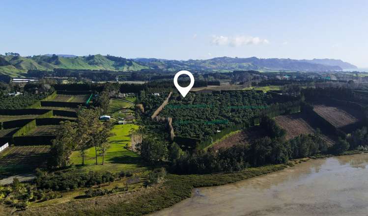 229 Athenree Road Waihi Beach_6