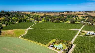 490 Puketitiri Road, Puketapu_3