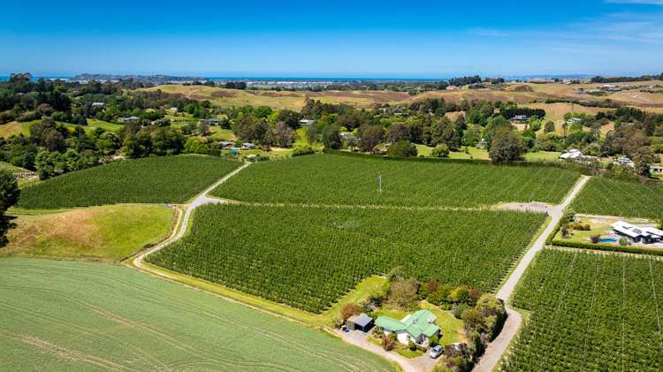 490 Puketitiri Road, Puketapu Napier South_3