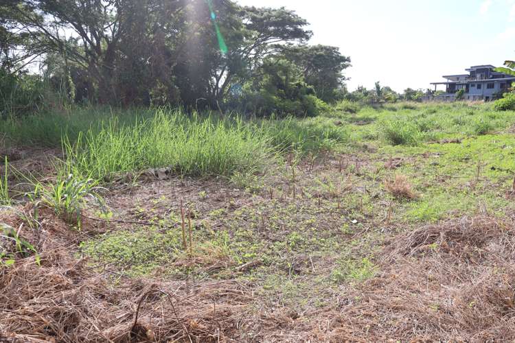 Lot 11 Pali Street Off Nasoso Road Nadi_10