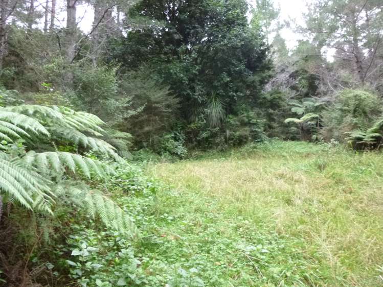 37 Makene Road Mangamuka_0