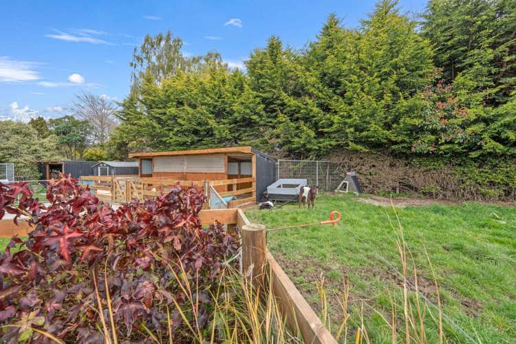 83 Salford Street Edendale_22