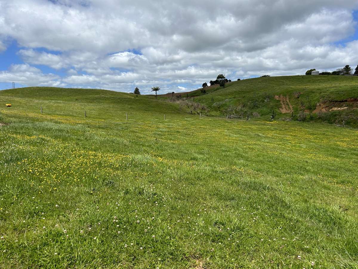 2868 State Highway 31_3