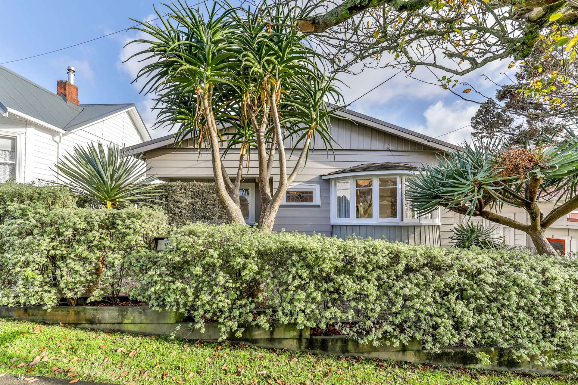 18 Mountain View Road Morningside_0