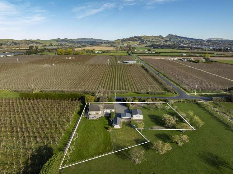 217 Thompson Road Havelock North_23