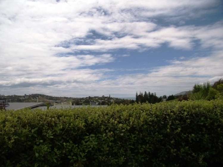 75 Tukuka Street Nelson South_9