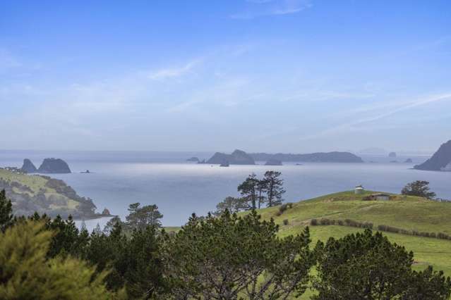 61 Spikes Way Whitianga_3