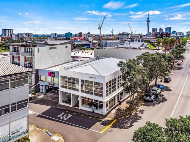 36 Karaka Street Eden Terrace_2